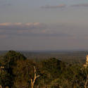 1714-Tikal temples I and II